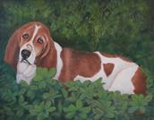 beagle painting, beagle portrait